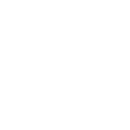 NP2